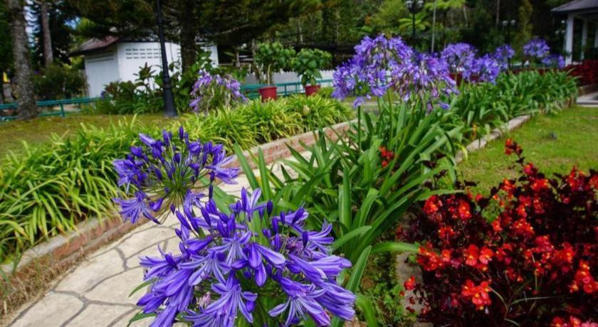 Oyo 1231 Ar Rayyan Boutique Hotel Cameron Highlands Luaran gambar