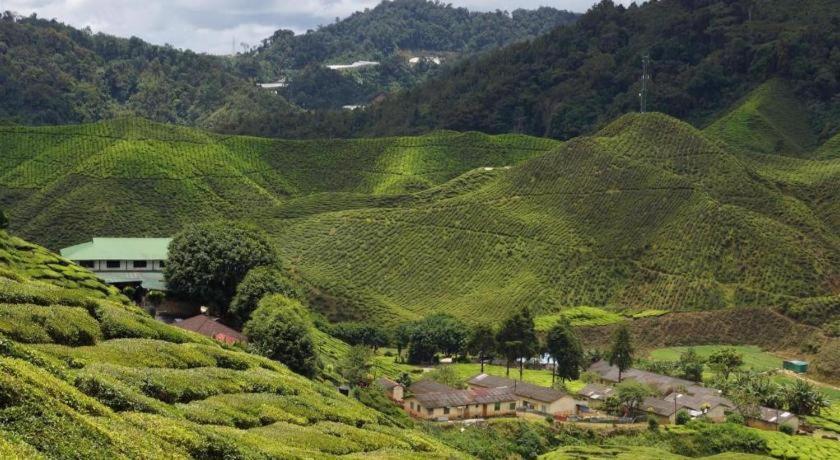 Oyo 1231 Ar Rayyan Boutique Hotel Cameron Highlands Luaran gambar